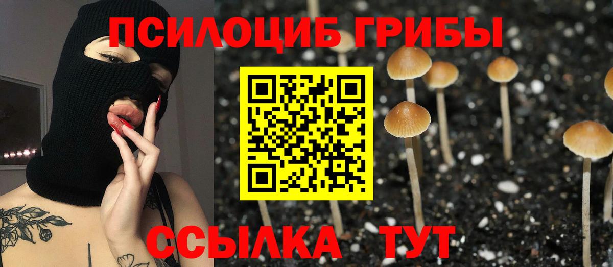 Владивосток  Псилоцибиновые грибы Cubensis  Вход с VPN  Псилоцибиновые грибы MAGIC MUSHROOMS 